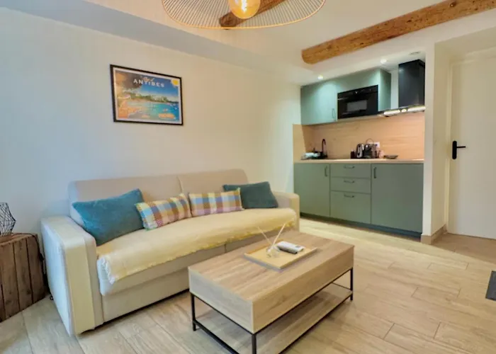 Cours Massena Apartman